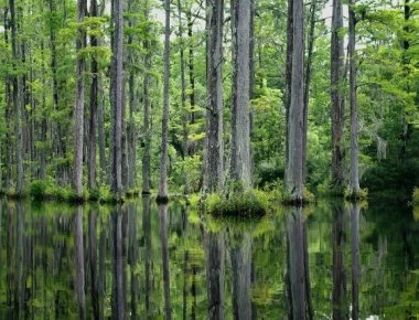 «Ο άνδρας που ψάχνετε βρίσκεται εν τόπω χλοερώ…» - Η ειρωνική επιστολή σε τμήμα Φορολογίας (φώτο)
